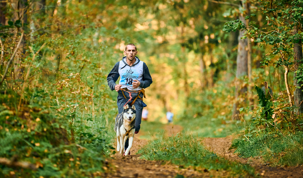 Tips for Trail Running with Your Dog