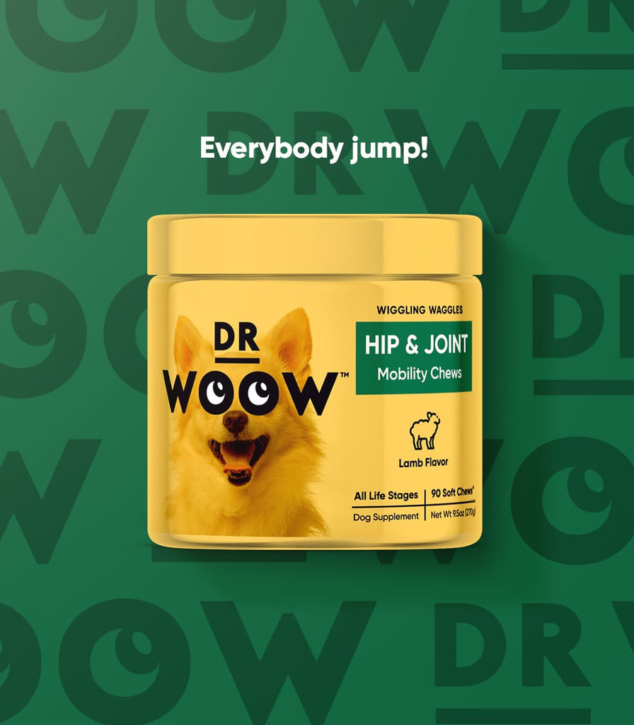 Hip and Joint Soft Chews with MSM and HCI to help dogs with joint pain and knee discomofort