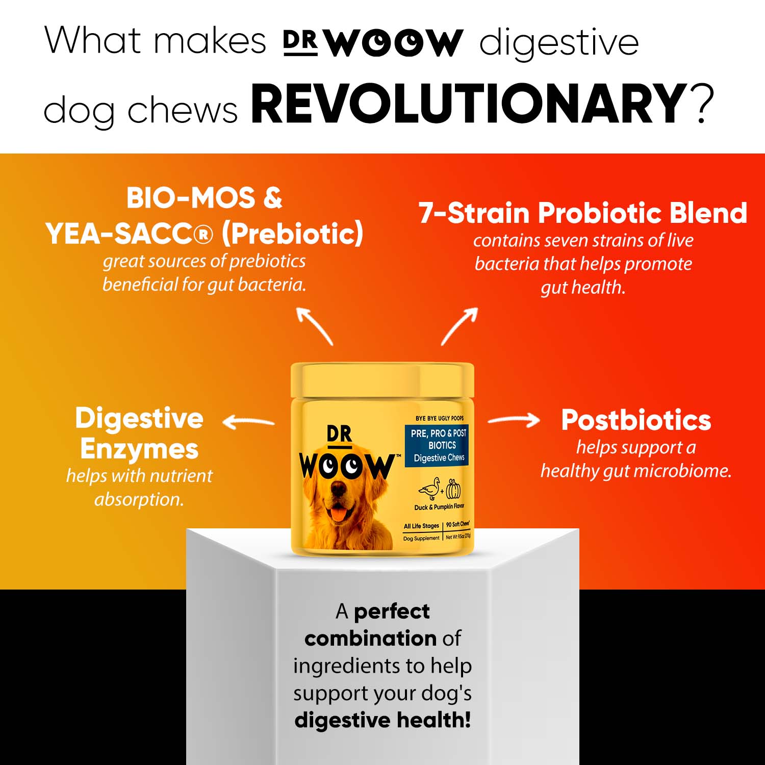 DR WOOW ALL NATURAL PREBIOTICS WILL BOOST YOUR DOGS DIGESTIVE HEALTH AND ALLOW FOR A BETTER IMMUNE SYSTEM