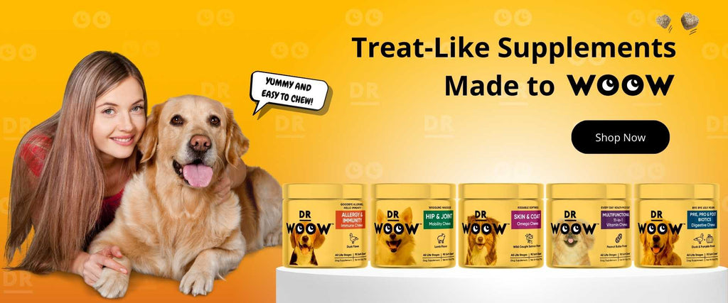 Dr Woow Hip and Joint Chews For Dog, Allergy-Itch Immunity for dogs, Digestive enzymes and probiotics for dogs, and skin and coat omega 3 for dogs