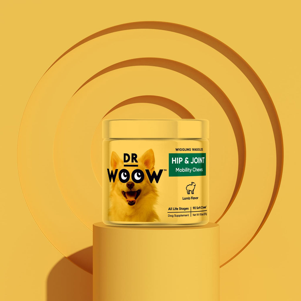 Dr Woow hip and joint mobility chew to help with knee dysplasia with yellow background