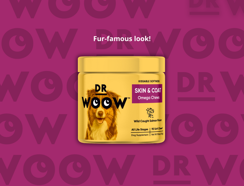 Dr Woow Skin and Coat Omega Chews supplements for dogs with salmon oil