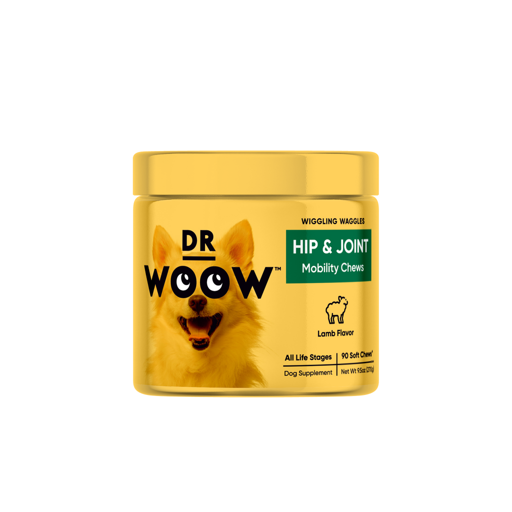Hip and Joint Mobility Chew Lamb Flavor Dr Woow soft chew 90 chews count