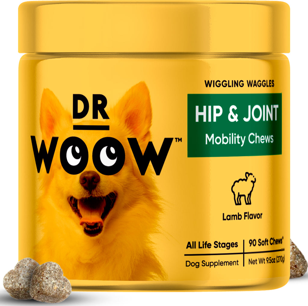 Hip & Joint Mobility Chews by Dr Woow with lamb flavor msm and hci