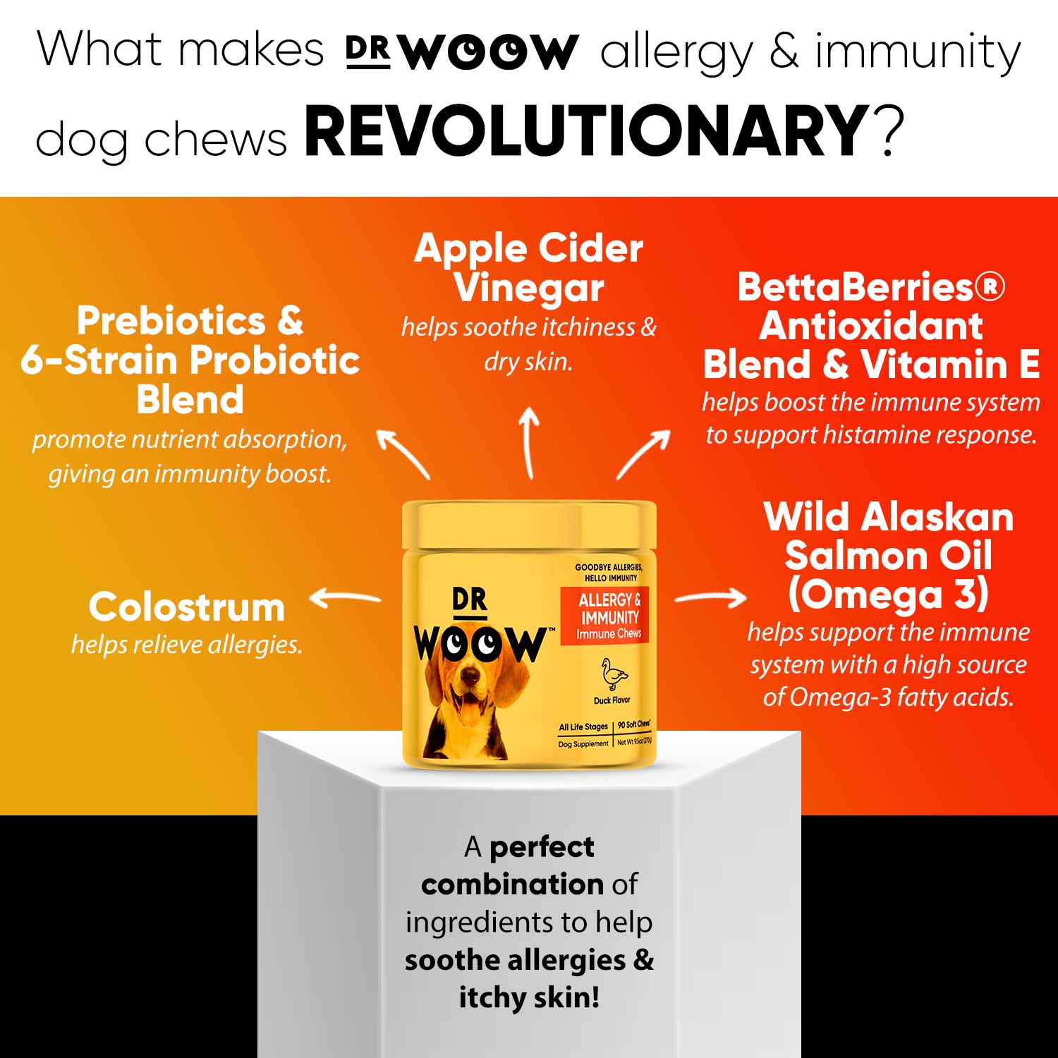 What Makes Dr Woow Allergy & Immunity Dog Chews Revolutionary