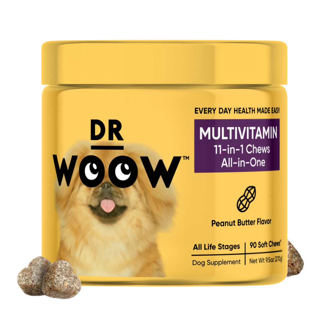 multifunctional soft chews for dogs aiming for every day health